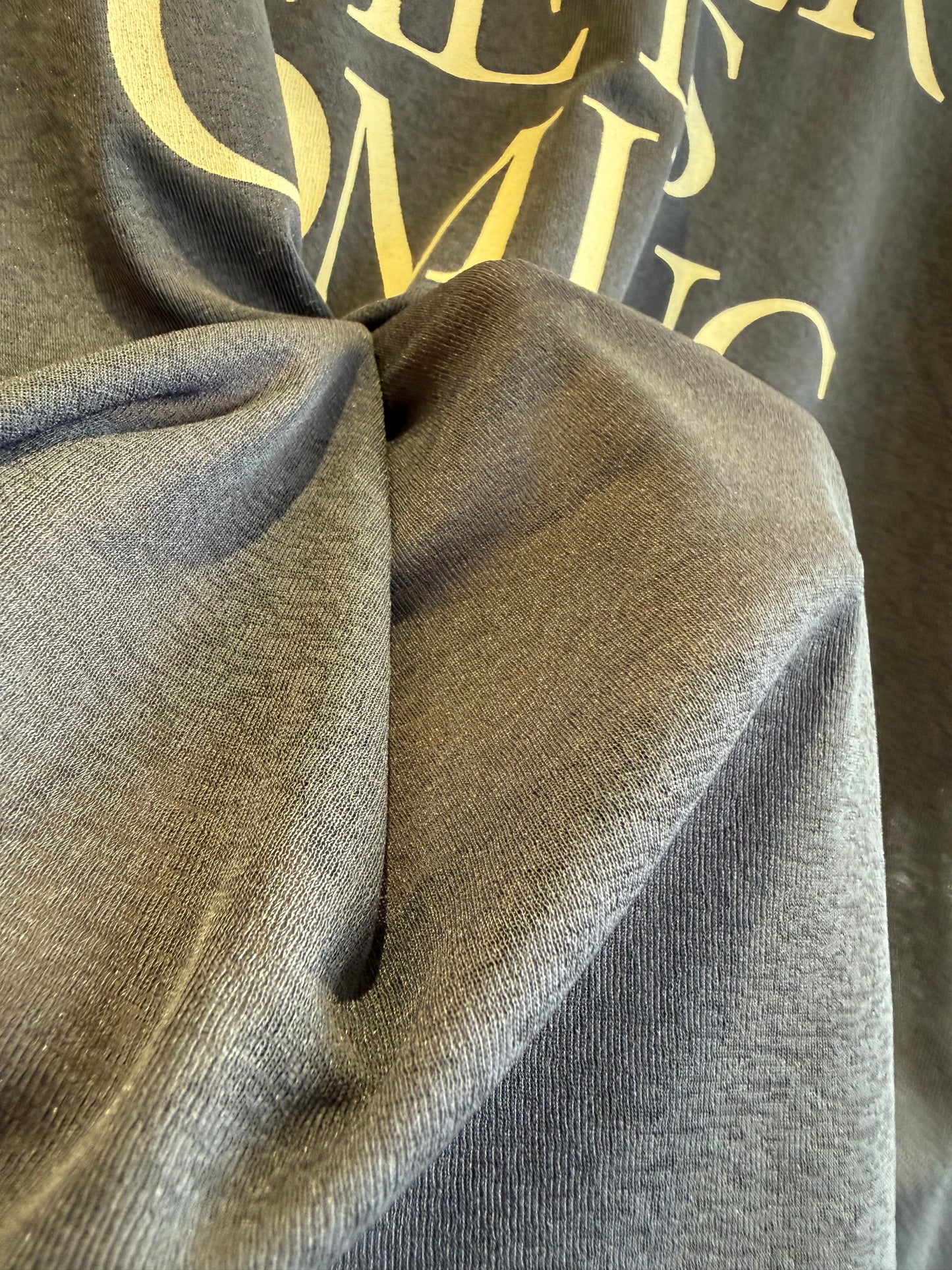 シースルーロゴTシャツ